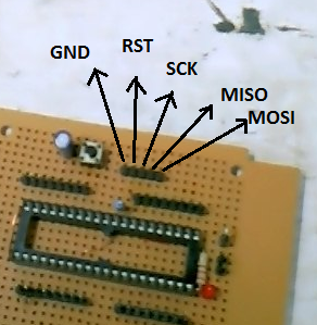 minsis2
